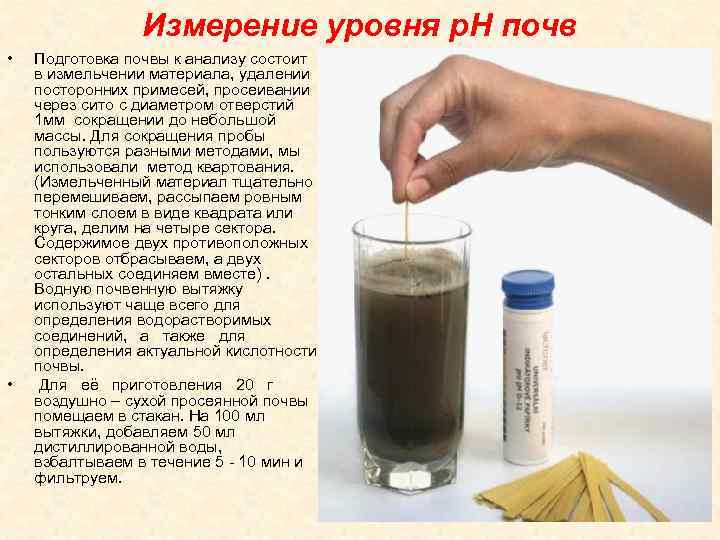 Измерение уровня p. H почв • • Подготовка почвы к анализу состоит в измельчении