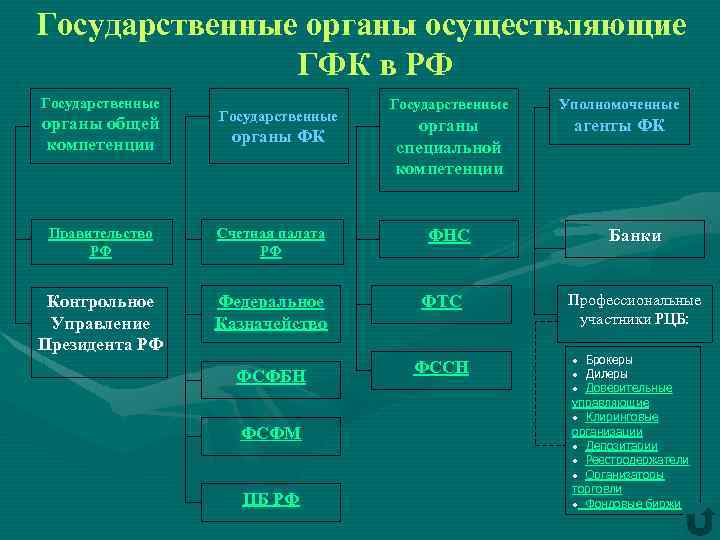Схема организации государственного финансового контроля в РФ
