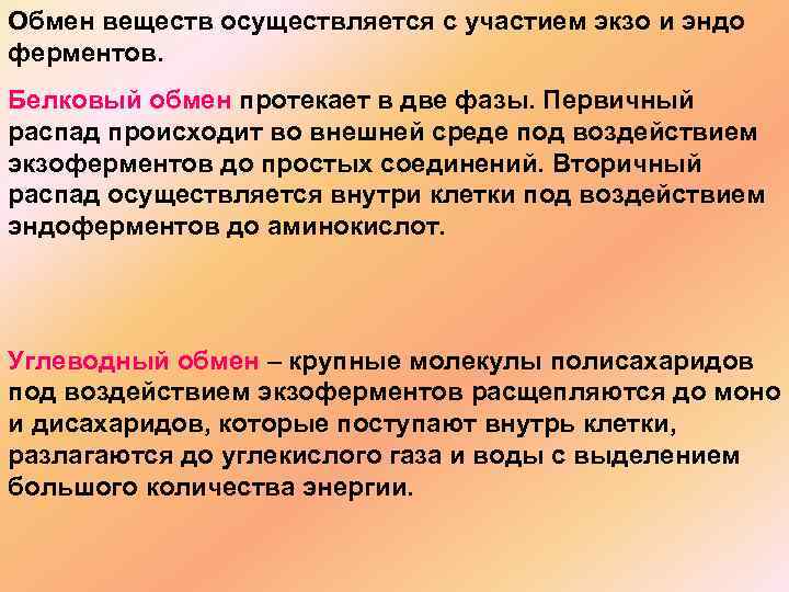 Обмен веществ осуществляется с участием экзо и эндо ферментов. Белковый обмен протекает в две