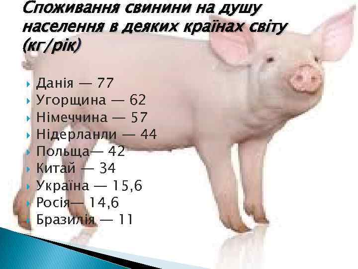 Споживання свинини на душу населення в деяких країнах світу (кг/рік) Данія — 77 Угорщина