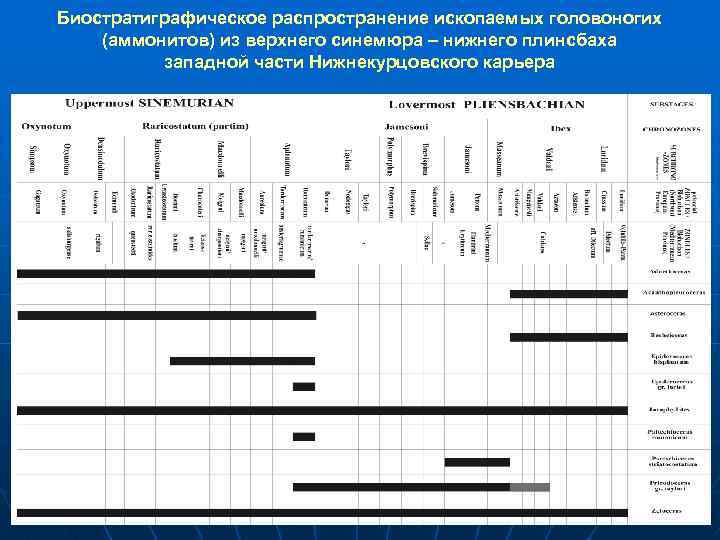 Биостратиграфическое распространение ископаемых головоногих (аммонитов) из верхнего синемюра – нижнего плинсбаха западной части Нижнекурцовского