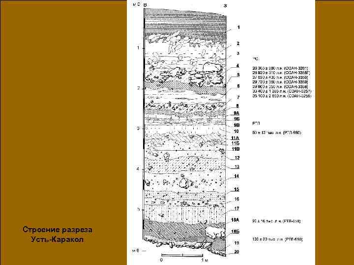 Строение разреза Усть-Каракол 