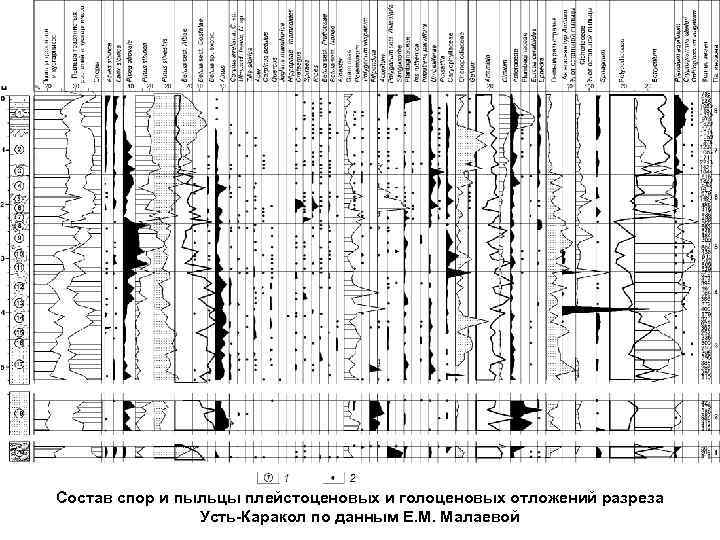 Состав спор и пыльцы плейстоценовых и голоценовых отложений разреза Усть-Каракол по данным Е. М.
