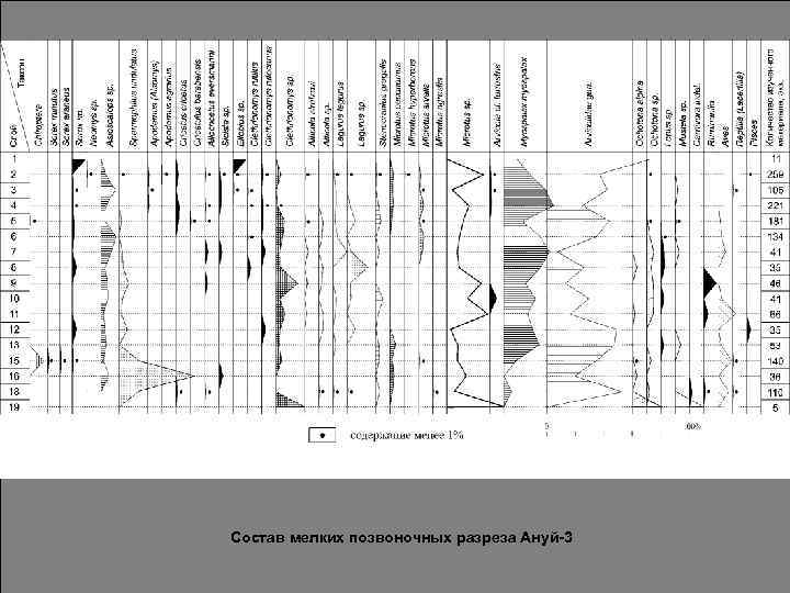 Состав мелких позвоночных разреза Ануй-3 