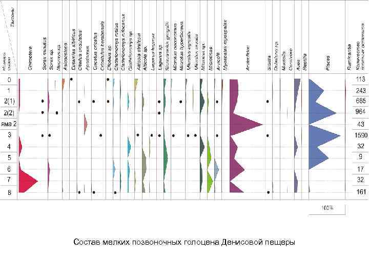 Состав мелких позвоночных голоцена Денисовой пещеры 