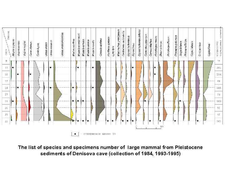 The list of species and specimens number of large mammal from Pleistocene sediments of