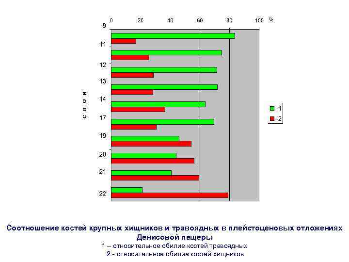 Соотношение костей крупных хищников и травоядных в плейстоценовых отложениях Денисовой пещеры 1 – относительное