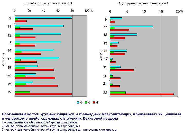 Послойное соотношение костей Суммарное соотношение костей Соотношение костей крупных хищников и травоядных млекопитающих, принесенных