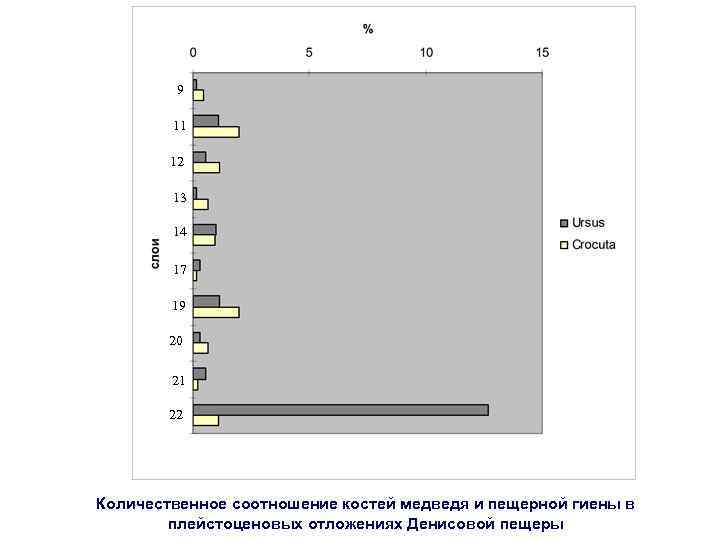 9 11 12 13 14 17 19 20 21 22 Количественное соотношение костей медведя