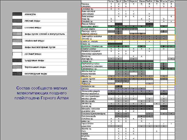 Состав сообществ мелких млекопитающих позднего плейстоцена Горного Алтая 