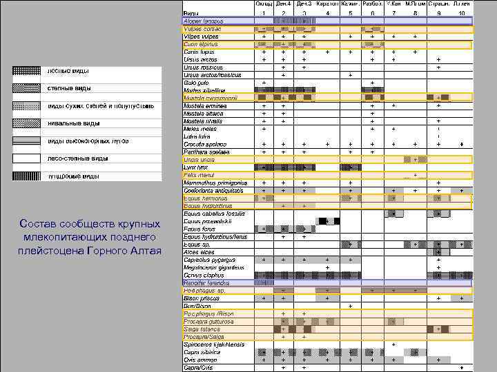 Состав сообществ крупных млекопитающих позднего плейстоцена Горного Алтая 