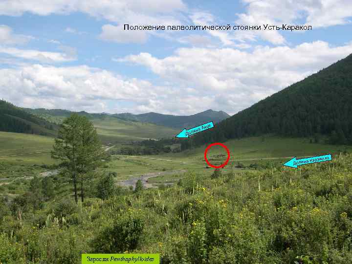 Положение палеолитической стоянки Усть-Каракол Положение стоянки Усть-Каракол нуя на А и Дол а Каракол