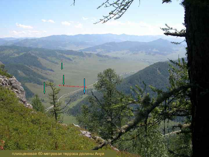 плиоценовая 60 -метровая терраса долины Ануя 