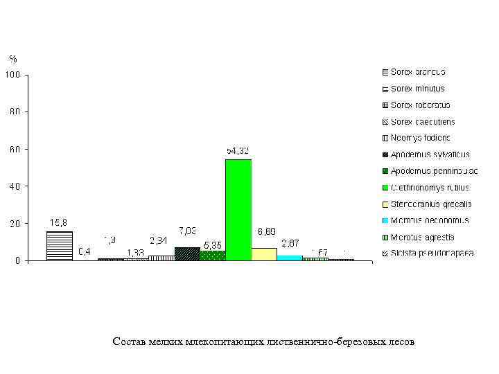 Состав мелких млекопитающих лиственнично-березовых лесов 