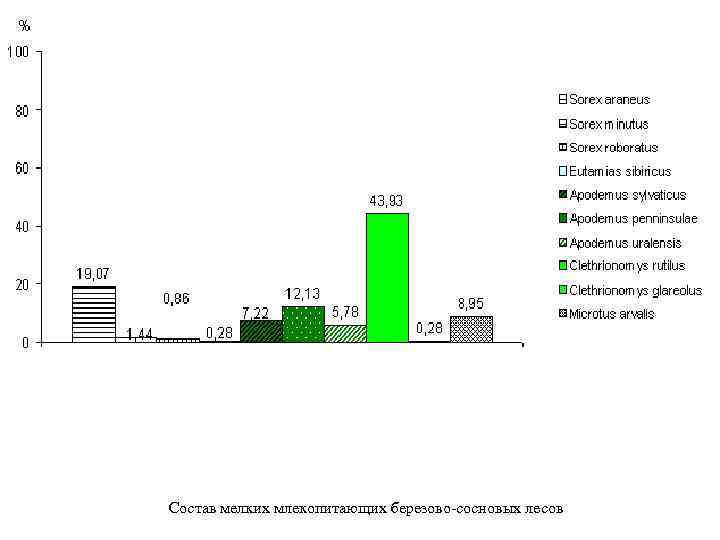 Состав мелких млекопитающих березово-сосновых лесов 
