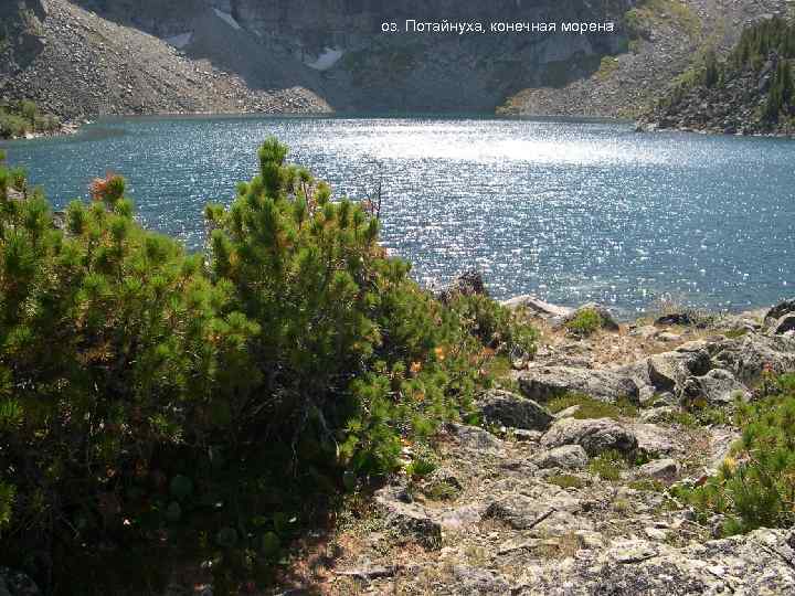 оз. Потайнуха, конечная морена Морена оз. Потайнуха 