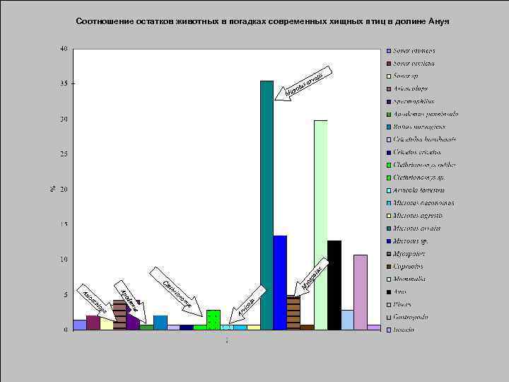 Соотношение остатков животных в погадках современных хищных птиц в долине Ануя lis rva s