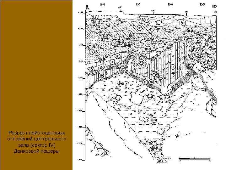 Разрез плейстоценовых отложений центрального зала (сектор IV) Денисовой пещеры 