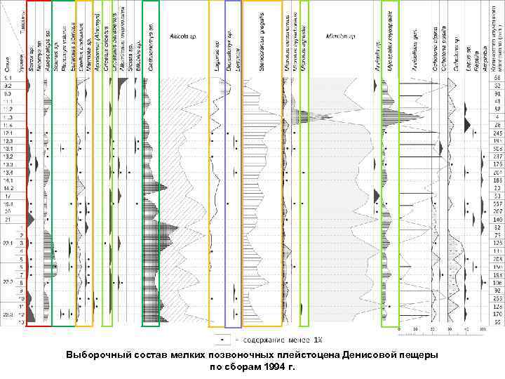 Выборочный состав мелких позвоночных плейстоцена Денисовой пещеры по сборам 1994 г. 