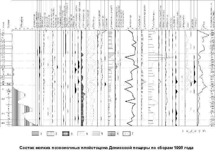 Состав мелких позвоночных плейстоцена Денисовой пещеры по сборам 1995 года 