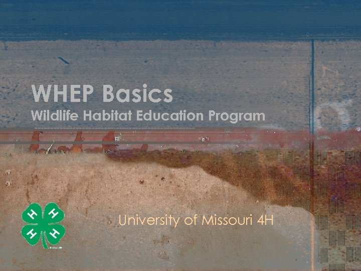 WHEP Basics Wildlife Habitat Education Program University of Missouri 4 H 