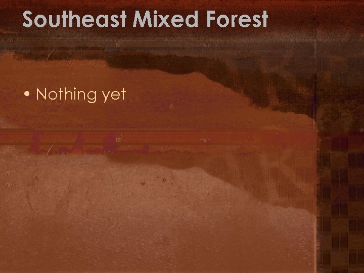 Southeast Mixed Forest • Nothing yet 