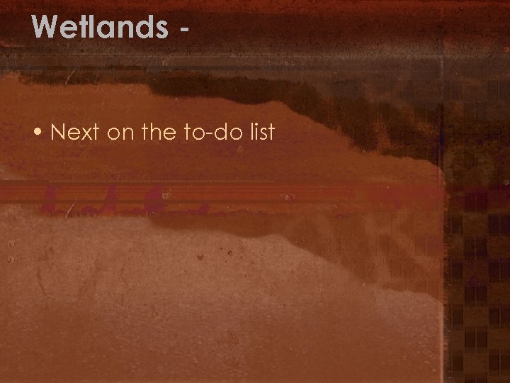 Wetlands • Next on the to-do list 