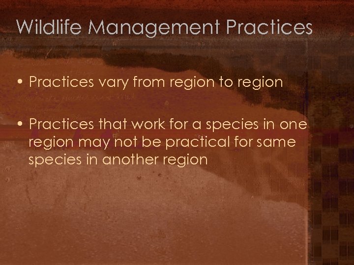 Wildlife Management Practices • Practices vary from region to region • Practices that work