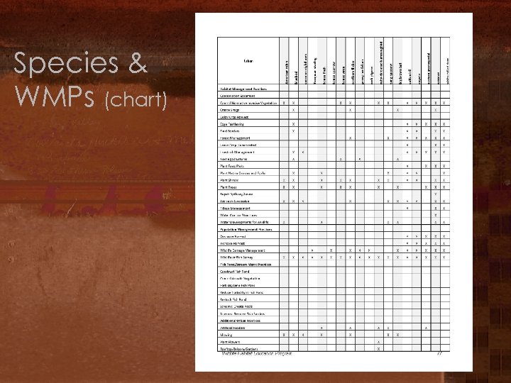 Species & WMPs (chart) 