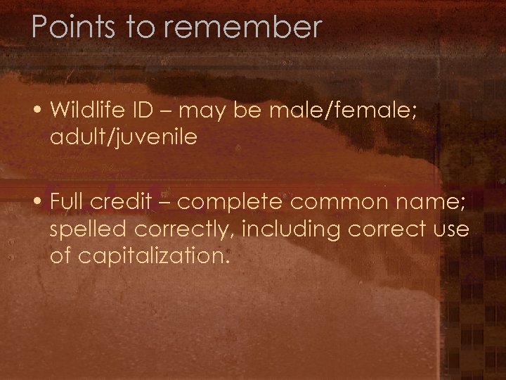 Points to remember • Wildlife ID – may be male/female; adult/juvenile • Full credit