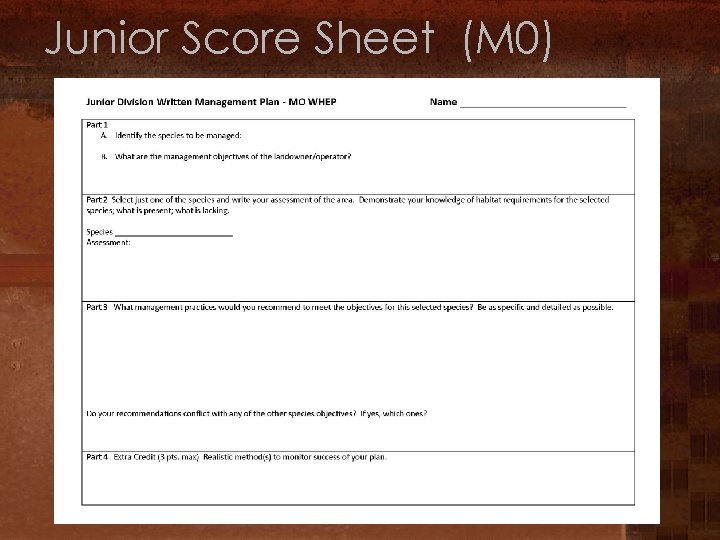 Junior Score Sheet (M 0) 