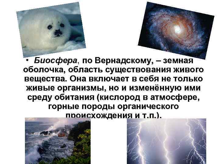  • Биосфера, по Вернадскому, – земная оболочка, область существования живого вещества. Она включает
