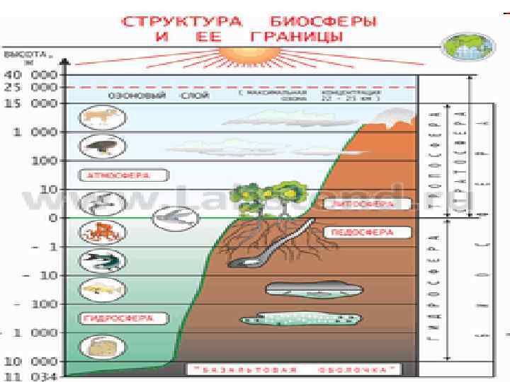 Границы биосферы 6 класс. Границы биосферы. Границы биосферы 6 класс география. Схема границы биосферы 6 класс. Слои биосферы.