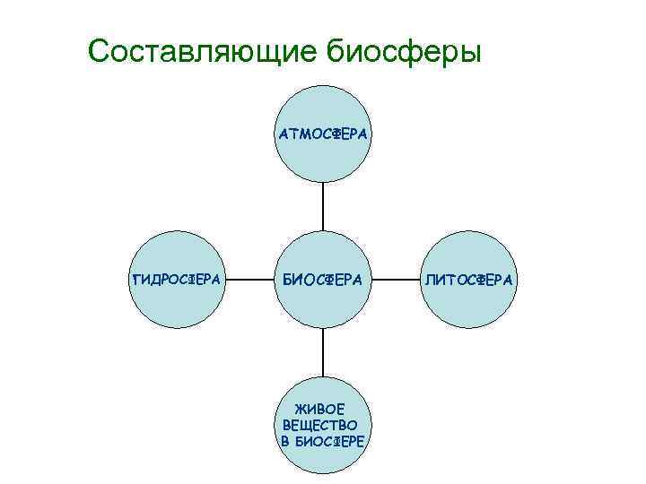 Составляющие биосферы АТМОСФЕРА ГИДРОСФЕРА БИОСФЕРА ЖИВОЕ ВЕЩЕСТВО В БИОСФЕРЕ ЛИТОСФЕРА 