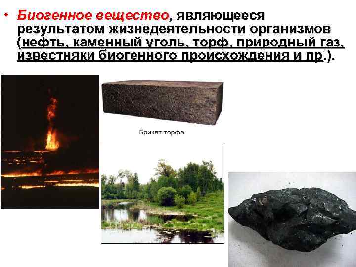  • Биогенное вещество, являющееся результатом жизнедеятельности организмов (нефть, каменный уголь, торф, природный газ,