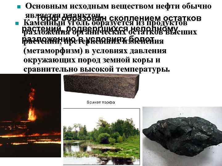 Основным исходным веществом нефти обычно является образован скоплением остатков Торф планктон. n Каменный уголь