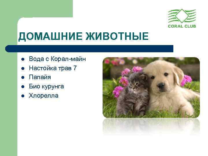 ДОМАШНИЕ ЖИВОТНЫЕ l l l Вода с Корал-майн Настойка трав 7 Папайя Био курунга