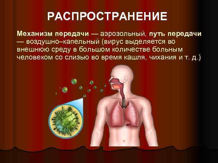 Картинка воздушно капельный путь передачи