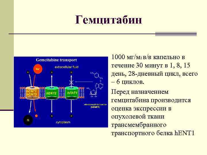 Гемцитабин 1000 мг/м 2 в/в капельно в течение 30 минут в 1, 8, 15