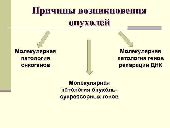 Причины возникновения опухолей Молекулярная патология онкогенов Молекулярная патология генов репарации ДНК Молекулярная патология опухольсупрессорных