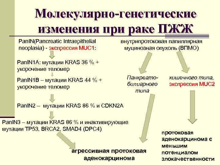 Молекулярно-генетические изменения при раке ПЖЖ Pan. IN(Pancreatic Intraepithelial neoplasia) - экспрессия MUC 1: MUC