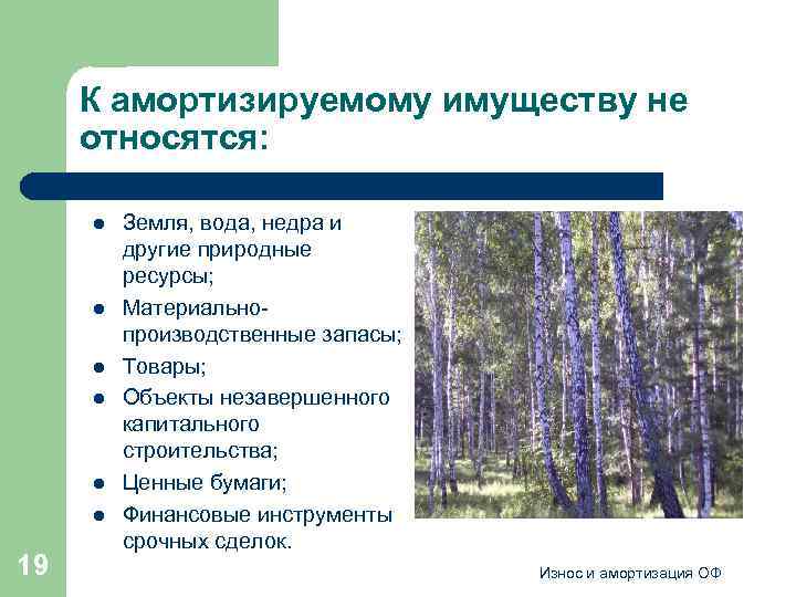 К амортизируемому имуществу не относятся: l l l 19 Земля, вода, недра и другие