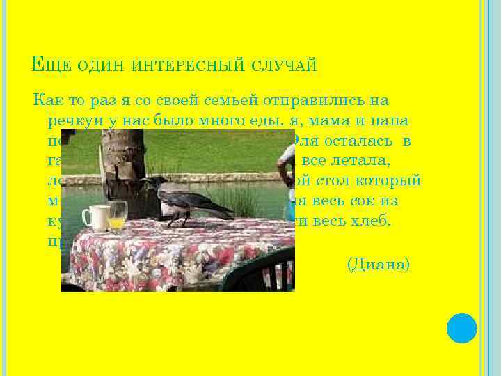 ЕЩЕ ОДИН ИНТЕРЕСНЫЙ СЛУЧАЙ Как то раз я со своей семьей отправились на речкуи