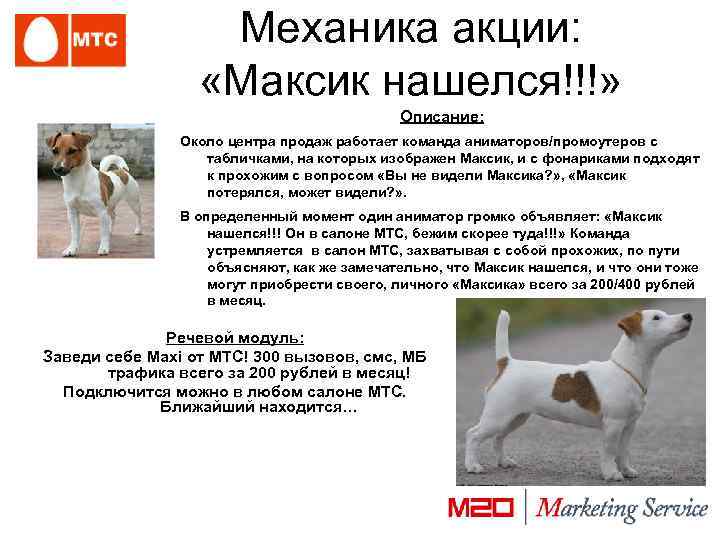 Механика акции: «Максик нашелся!!!» Описание: Около центра продаж работает команда аниматоров/промоутеров с табличками, на