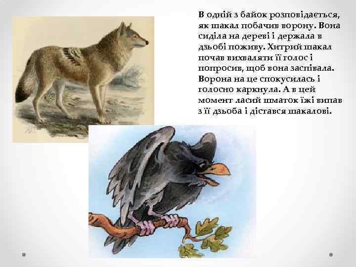 В одній з байок розповідається, як шакал побачив ворону. Вона сиділа на дереві і