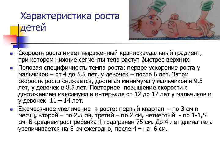 Характеристика роста детей n n n Скорость роста имеет выраженный краниокаудальный градиент, при котором