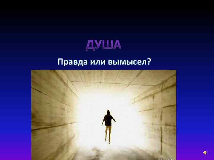 Правда или вымысел? 