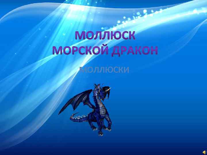 МОЛЛЮСКИ 