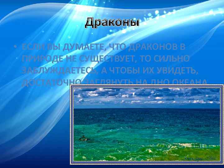 Драконы • ЕСЛИ ВЫ ДУМАЕТЕ, ЧТО ДРАКОНОВ В ПРИРОДЕ НЕ СУЩЕСТВУЕТ, ТО СИЛЬНО ЗАБЛУЖДАЕТЕСЬ,