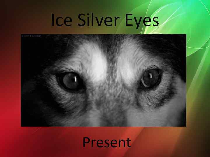 Ice Silver Eyes Present 